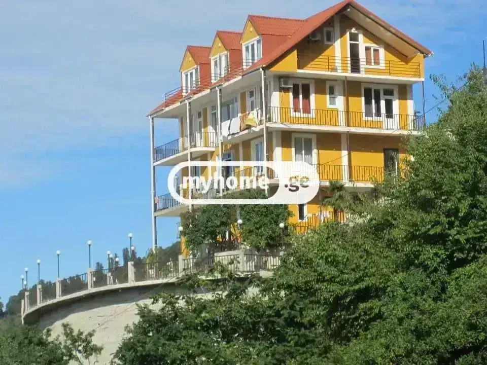 Daily Rent 10+ Room Private House In Batumi view 1