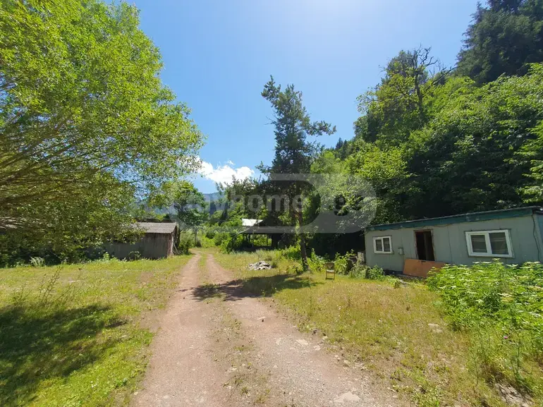 For Sale Ara Sasoplo-Sameurneo Land Plot Borjomshi view 3