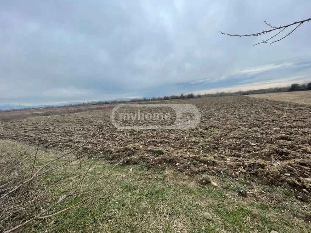 For Sale Sasoplo-Sameurneo Land Plot Tsqaltuboshi view 3