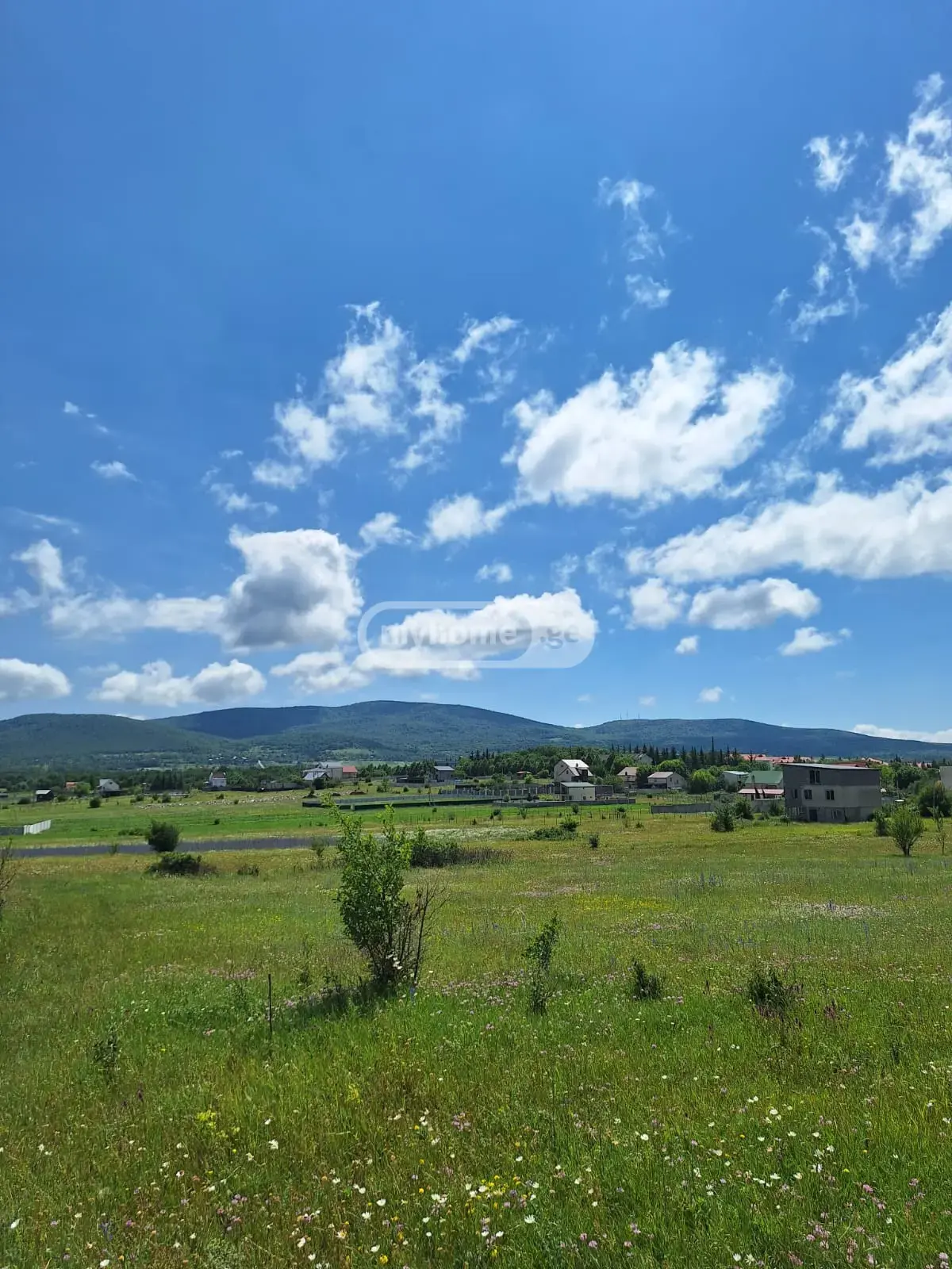 For Sale Sasoplo-Sameurneo Land Plot Dushetis Munitsipalitetshi view 9