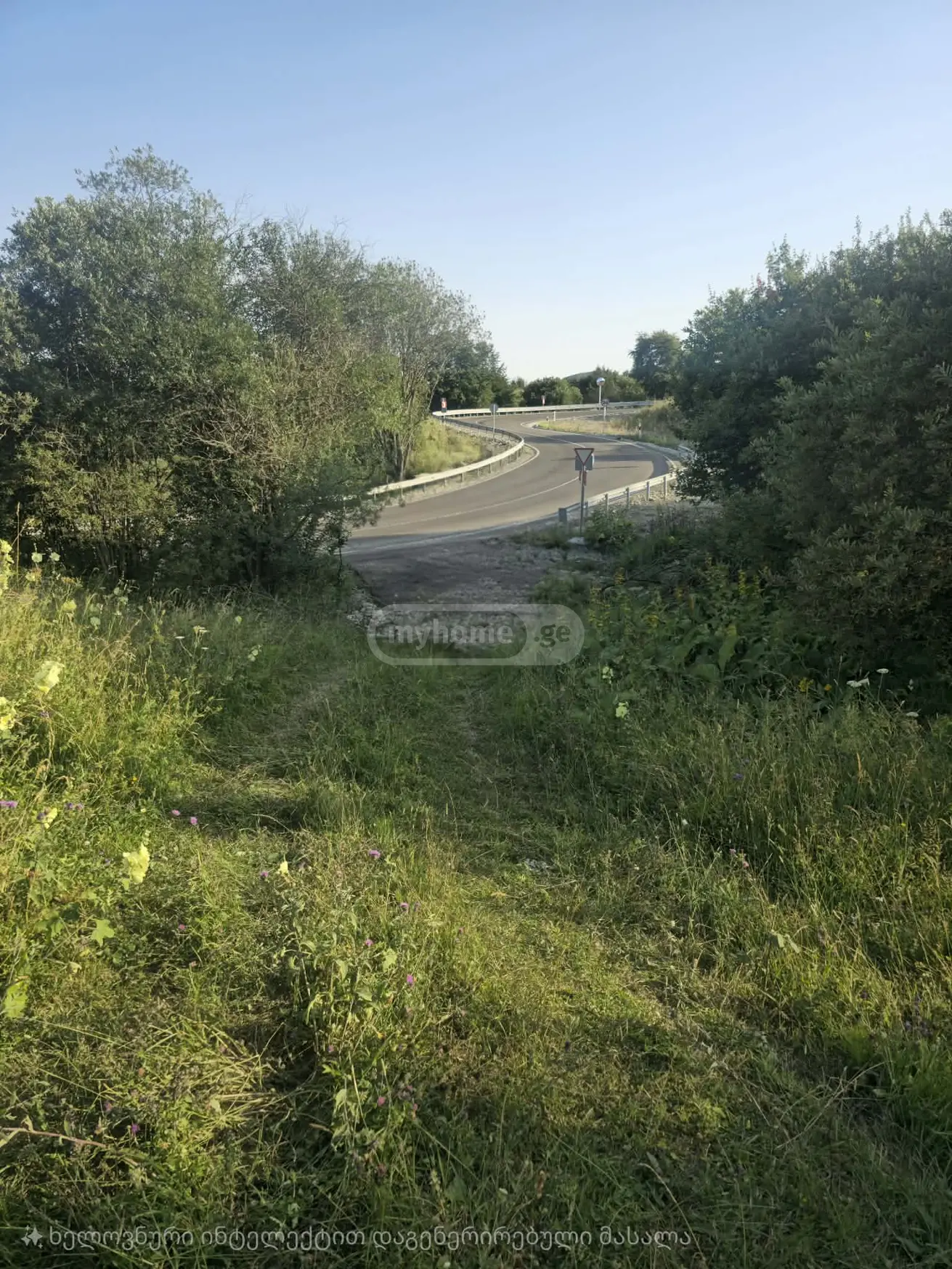 For Sale Sasoplo-Sameurneo Land Plot Telavis Munitsipalitetshi view 4