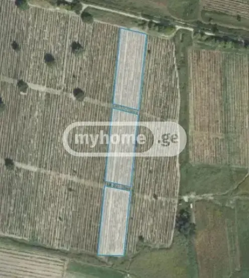 Продажа Земля / участок в Sagarejoshi view 3