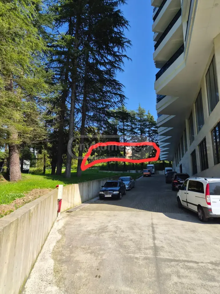 For Sale Sasoplo-Sameurneo Land Plot In Batumi view 3