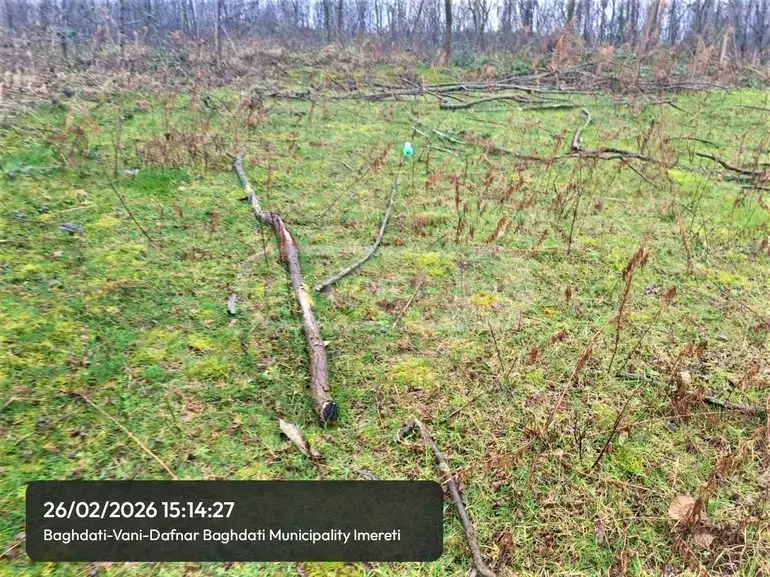 Продажа Земля / участок в Baghdatshi view 3