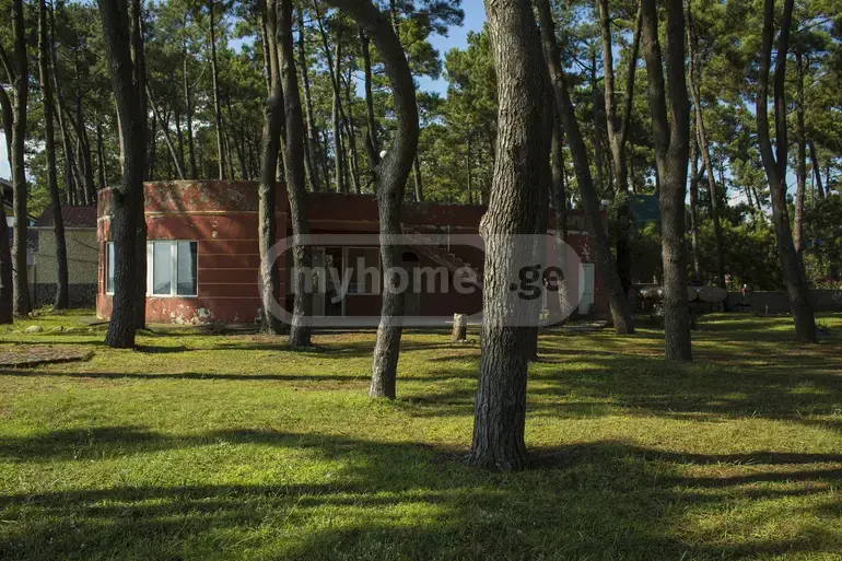 For Sale 10+ Room Sastumro Lanchkhutis Munitsipalitetshi view 4
