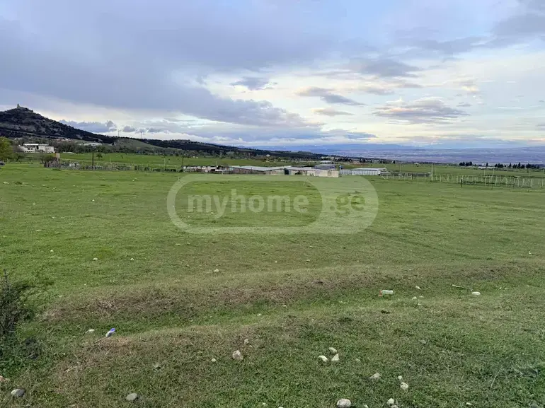 For Sale Ara Sasoplo-Sameurneo Land Plot Gardabnis Munitsipalitetshi view 5