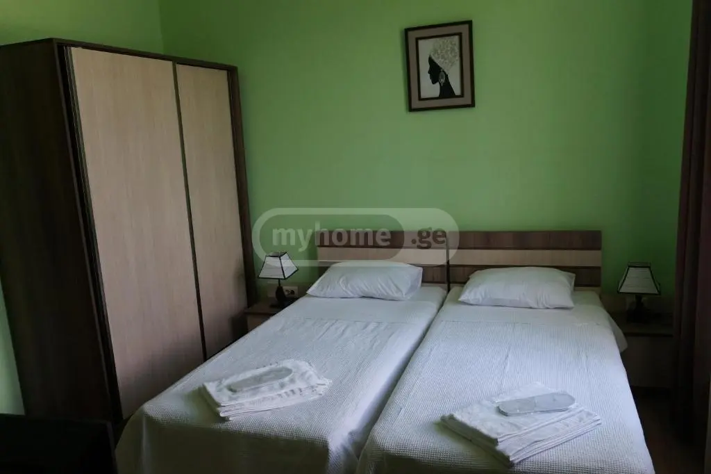 Daily Rent 10+ Room Private House In Batumi view 6