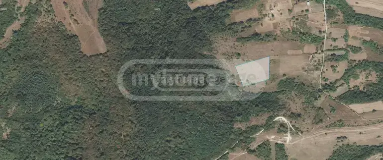 Продажа Земля / участок в Tianetis Munitsipalitetshi view 3