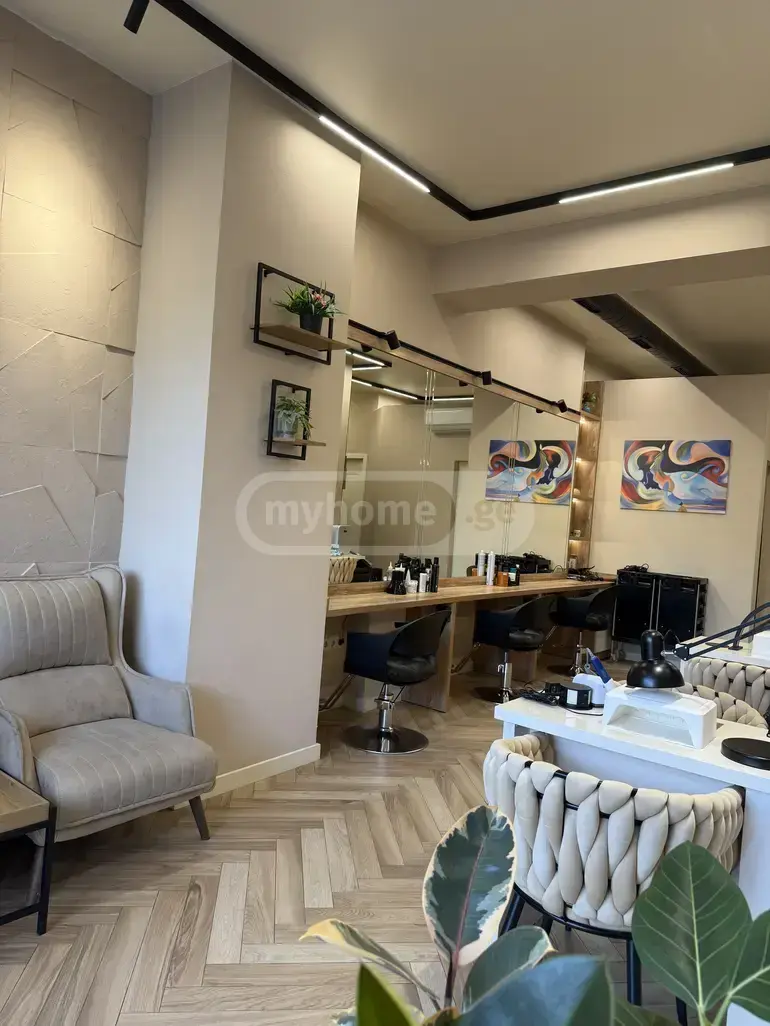 For Sale Universaluri Commercial Space Dighmis Masivshi view 2
