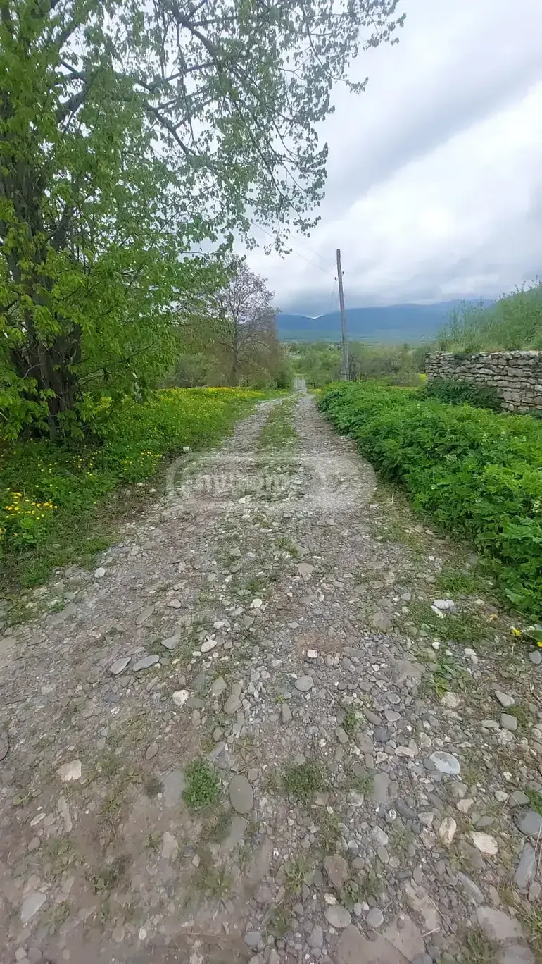 Продажа Земля / участок в Tianetis Munitsipalitetshi view 2