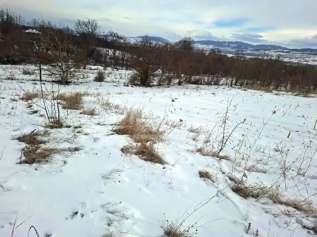 იყიდება მიწა / ნაკვეთი Tianetis Munitsipalitetshiში view 3