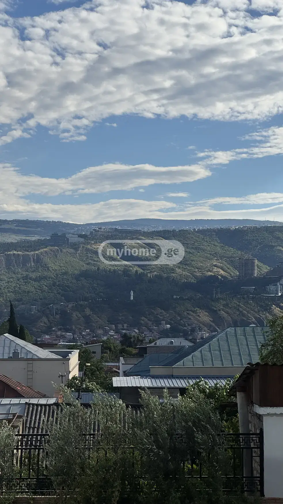 For Sale Ara Sasoplo-Sameurneo Land Plot Avlabarshi view 4