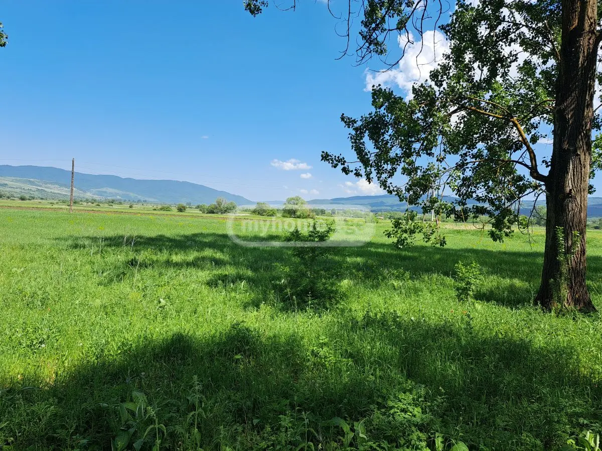 იყიდება მიწა / ნაკვეთი Tianetis Munitsipalitetshiში view 4