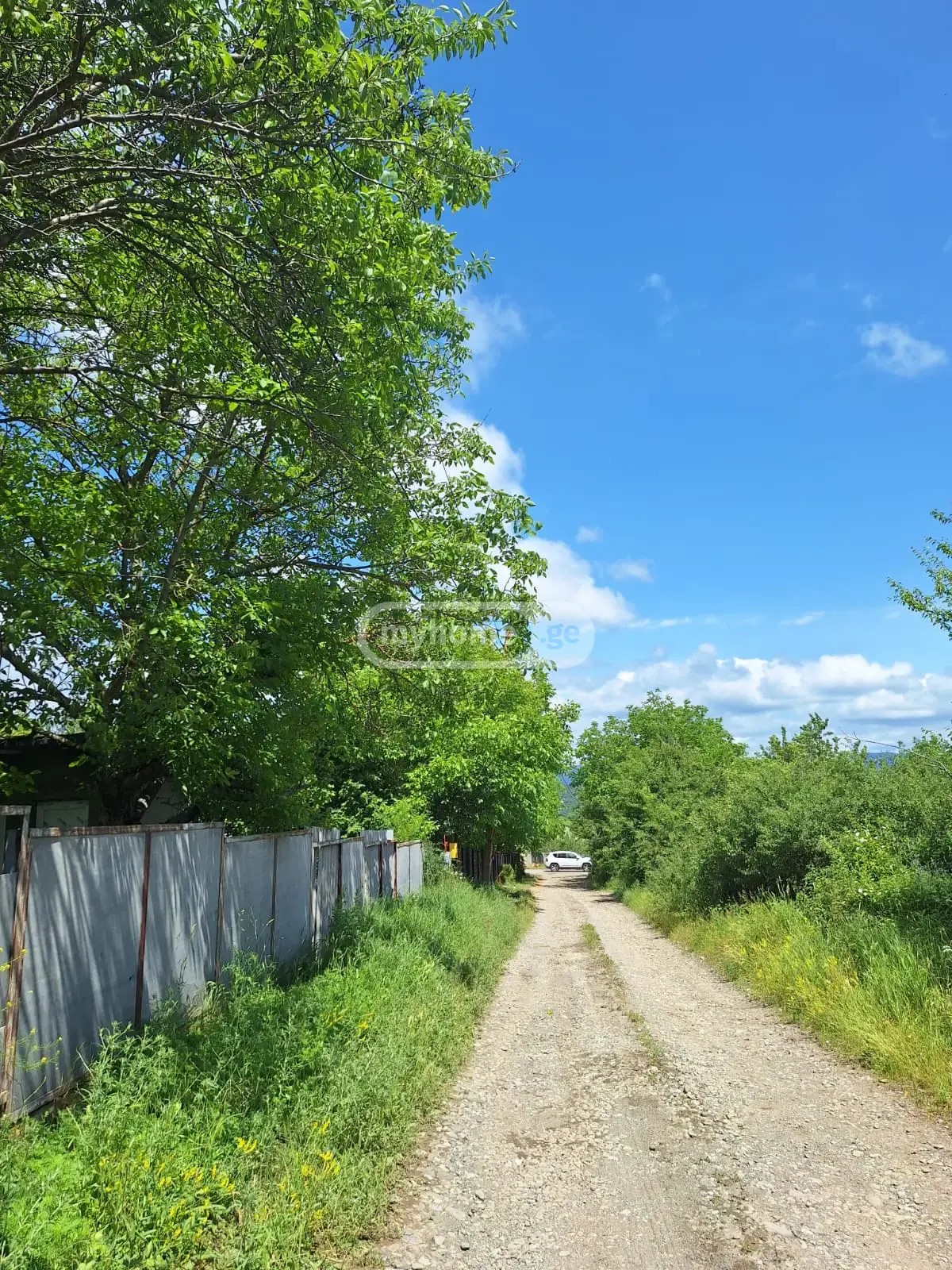 For Sale Sasoplo-Sameurneo Land Plot Dushetis Munitsipalitetshi view 3