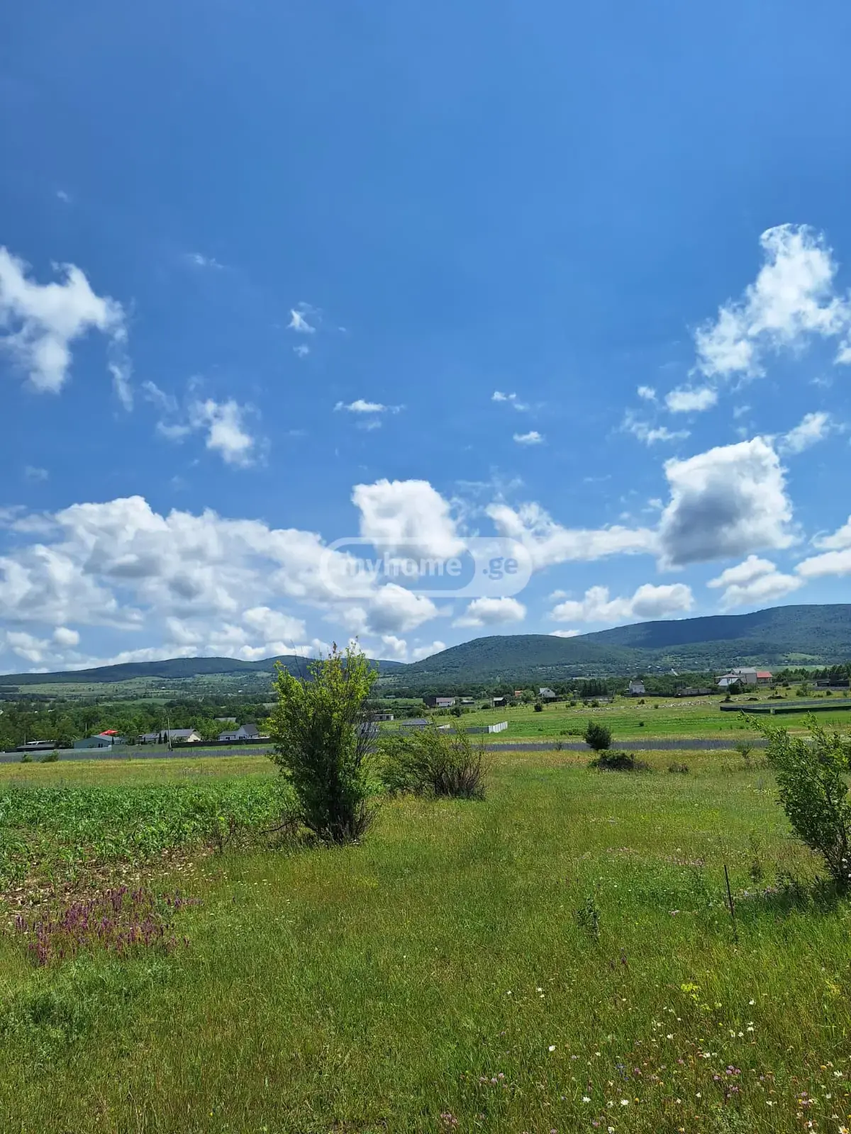 For Sale Sasoplo-Sameurneo Land Plot Dushetis Munitsipalitetshi view 2
