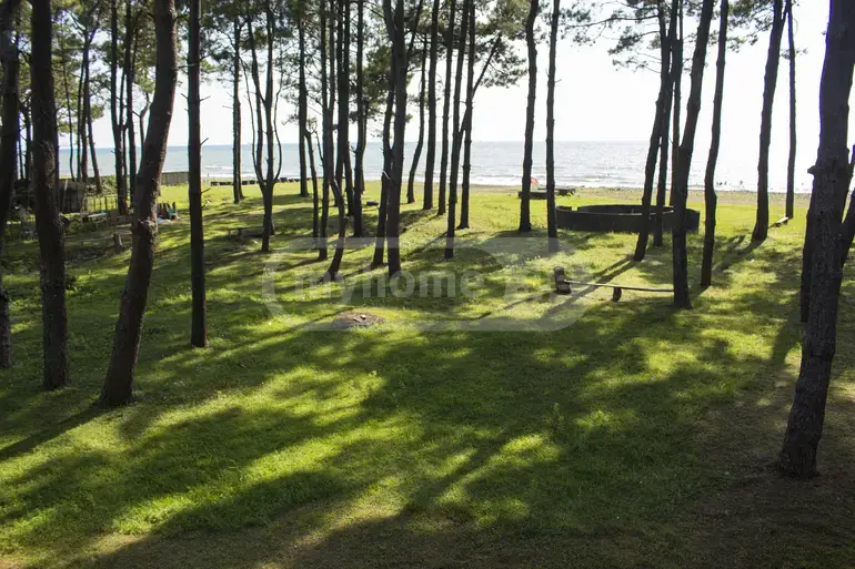 For Sale 10+ Room Sastumro Lanchkhutis Munitsipalitetshi view 8