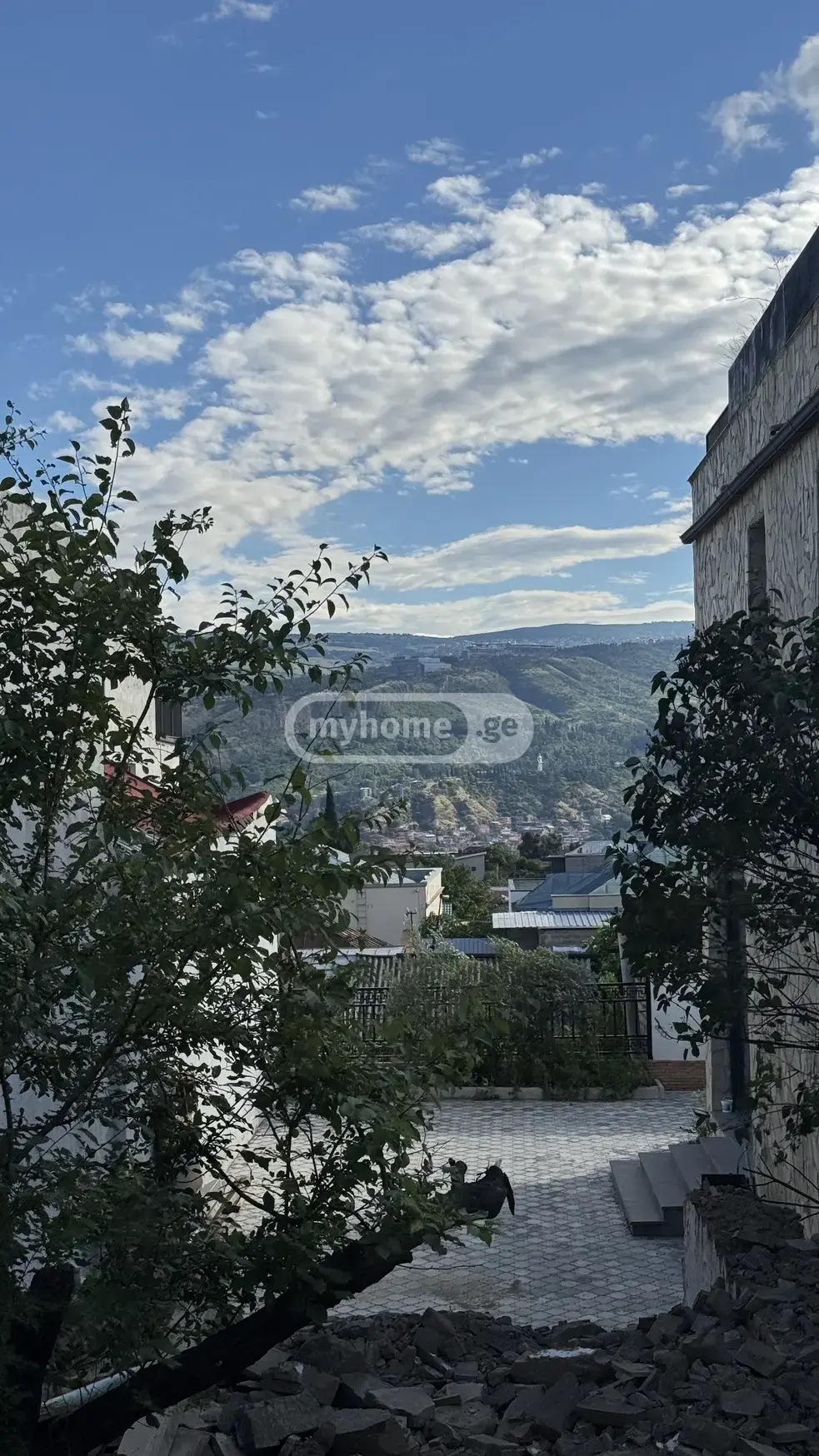 For Sale Ara Sasoplo-Sameurneo Land Plot Avlabarshi view 5