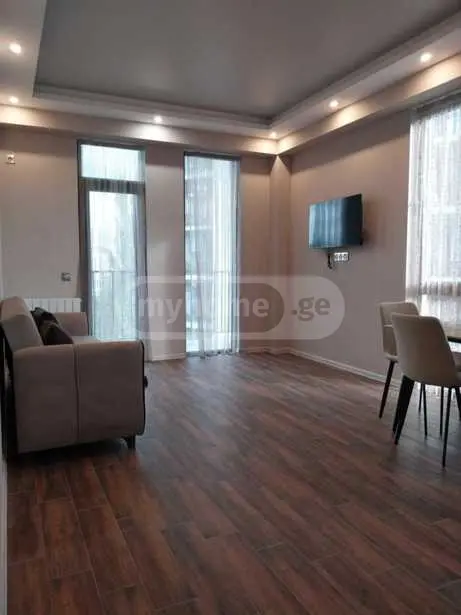 2-Room Apartment For Rent In Tbilisi, Alexander Pushkin St, 1 view 24