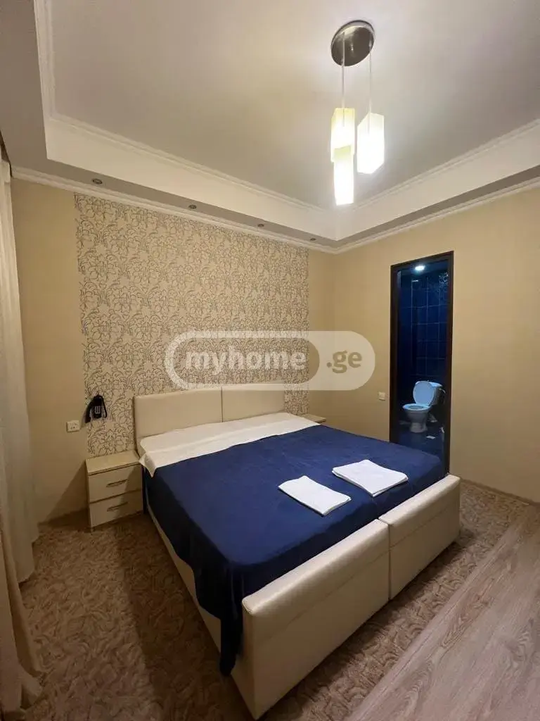 For Rent 10+ Room Sastumro Nutsubidzis Perdobze, 7 of 11