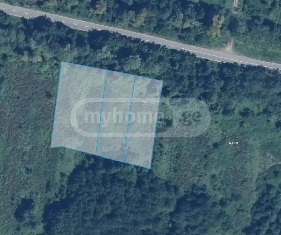 For Sale Sasoplo-Sameurneo Land Plot Ozurgetis Munitsipalitetshi view 1