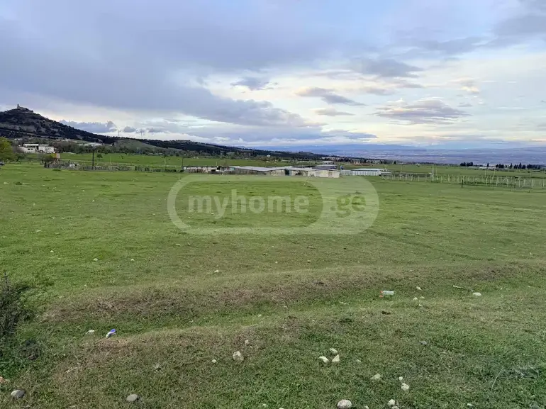 For Sale Ara Sasoplo-Sameurneo Land Plot Gardabnis Munitsipalitetshi view 6
