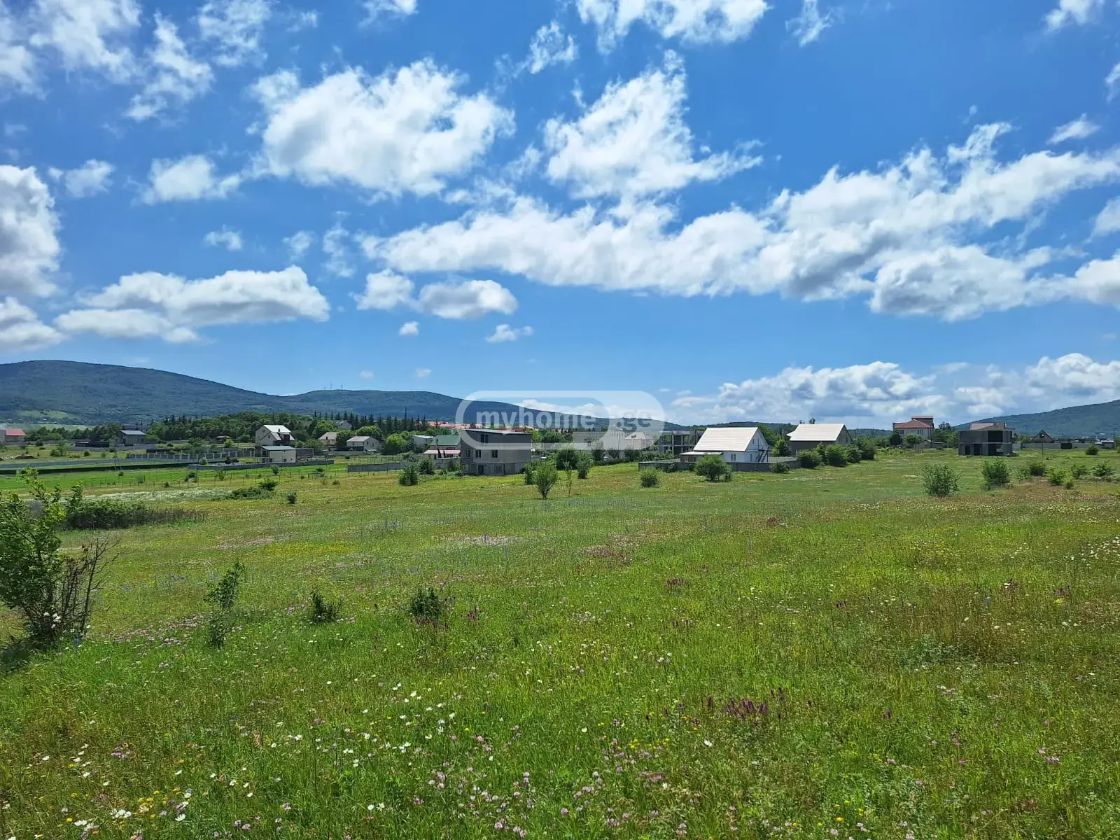 For Sale Sasoplo-Sameurneo Land Plot Dushetis Munitsipalitetshi view 8