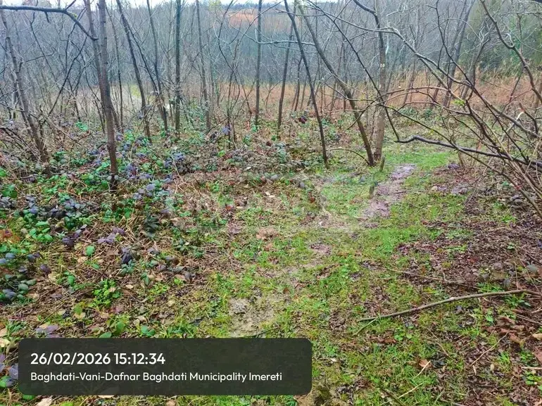 Продажа Земля / участок в Baghdatshi view 5