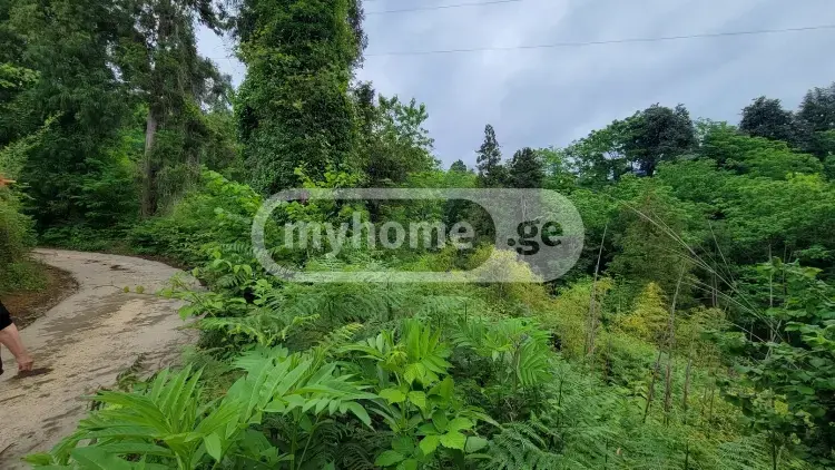 Продажа Земля / участок в Kobuletis Munitsipalitetshi view 1