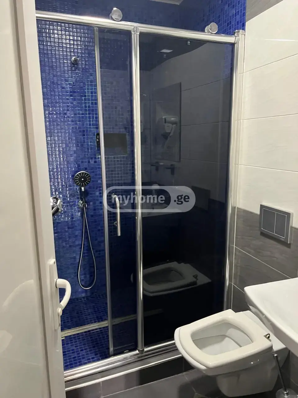 For Rent 10+ Room Sastumro Nutsubidzis Perdobze, 11 of 11