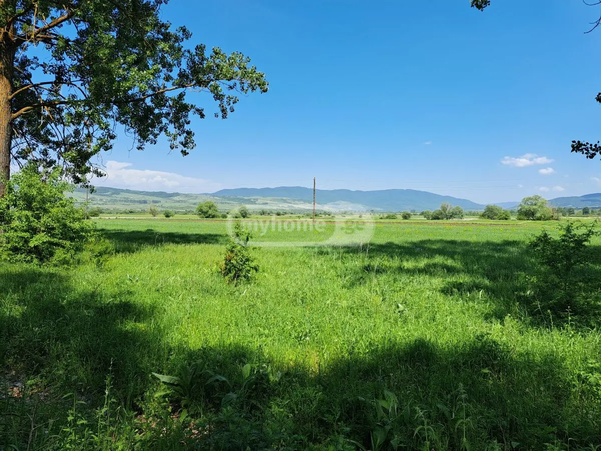 იყიდება მიწა / ნაკვეთი Tianetis Munitsipalitetshiში view 1
