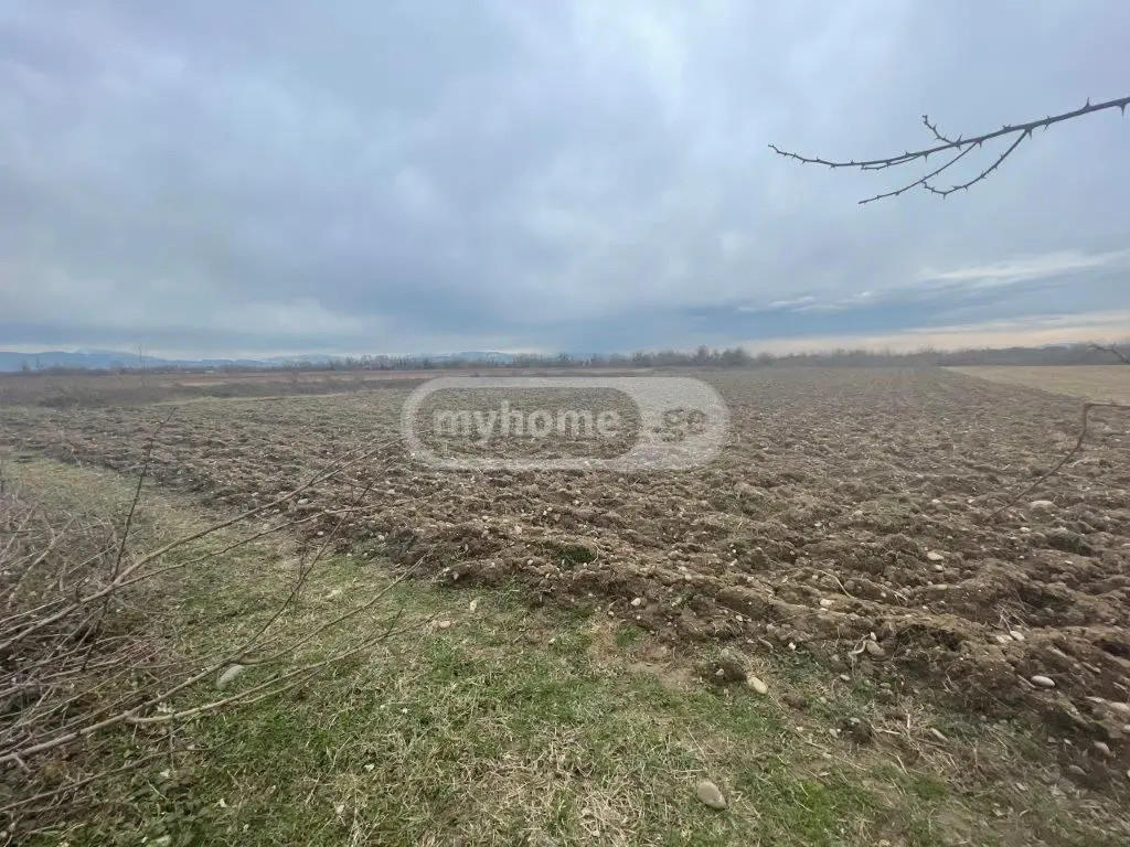 For Sale Sasoplo-Sameurneo Land Plot Tsqaltuboshi view 4