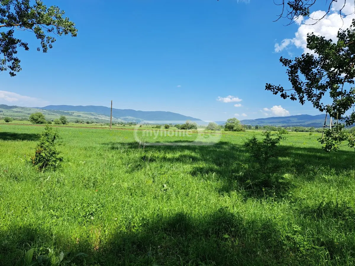 იყიდება მიწა / ნაკვეთი Tianetis Munitsipalitetshiში view 5