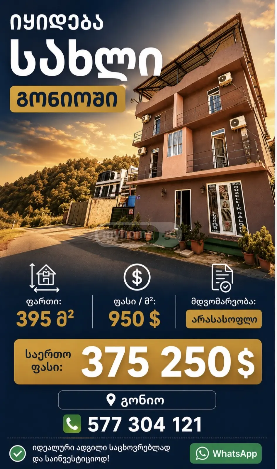 For Sale 10+ Room Sastumro Khelvachauris Munitsipalitetshi view 1