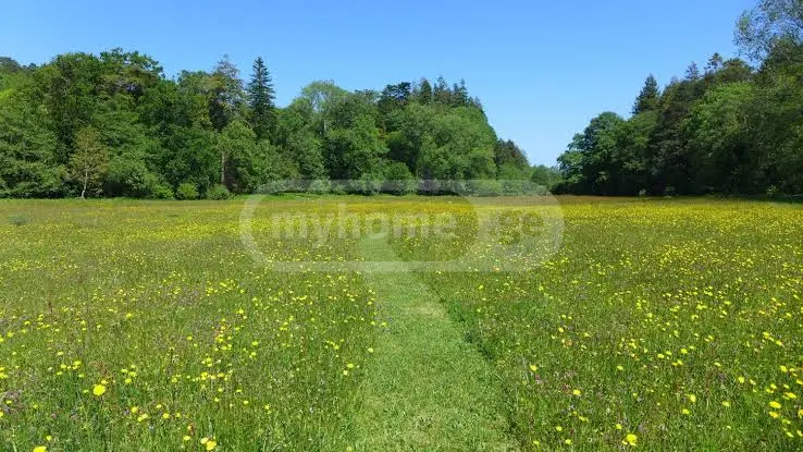 იყიდება მიწა / ნაკვეთი Mestiashiში view 1
