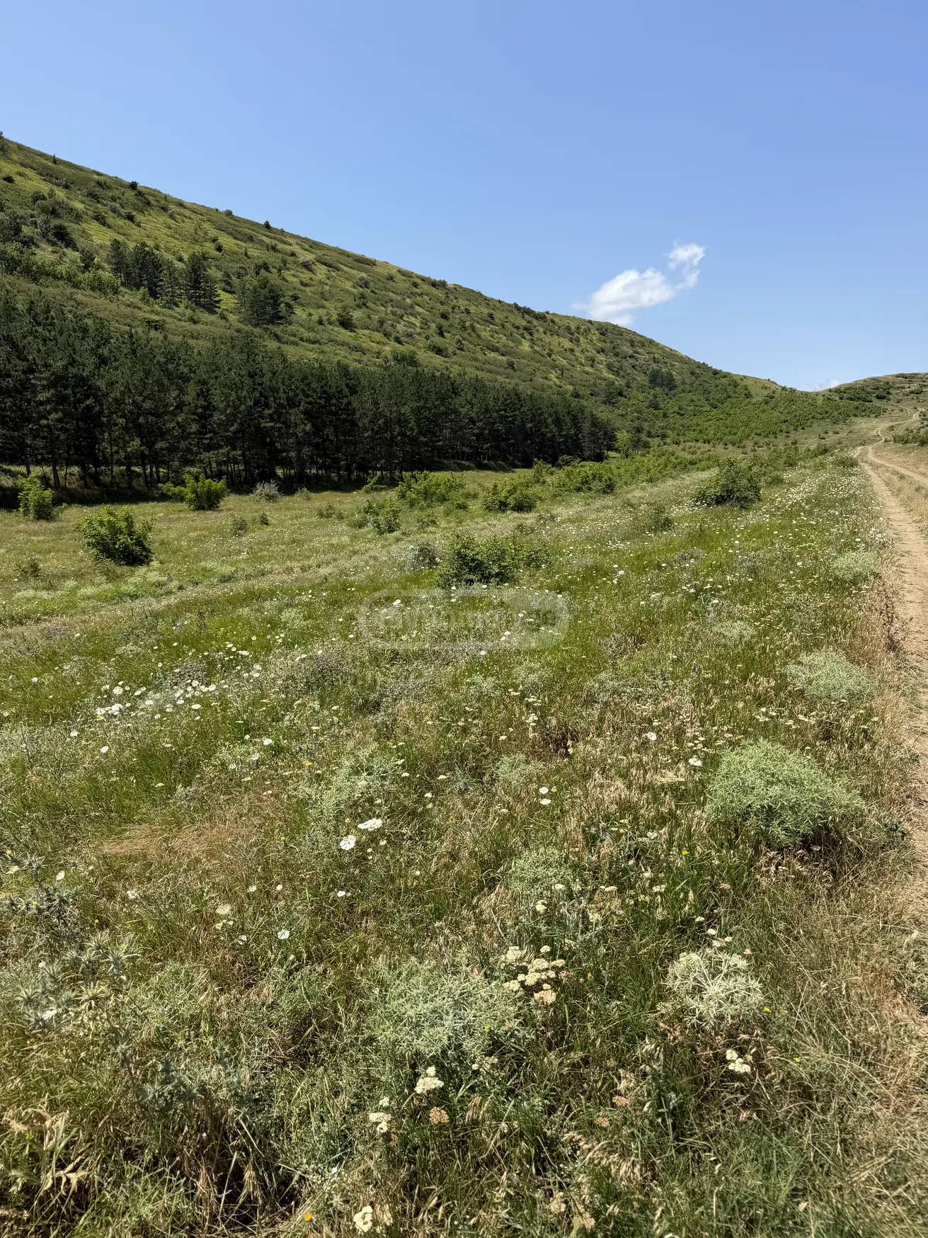 For Sale Sasoplo-Sameurneo Land Plot Lisze view 4
