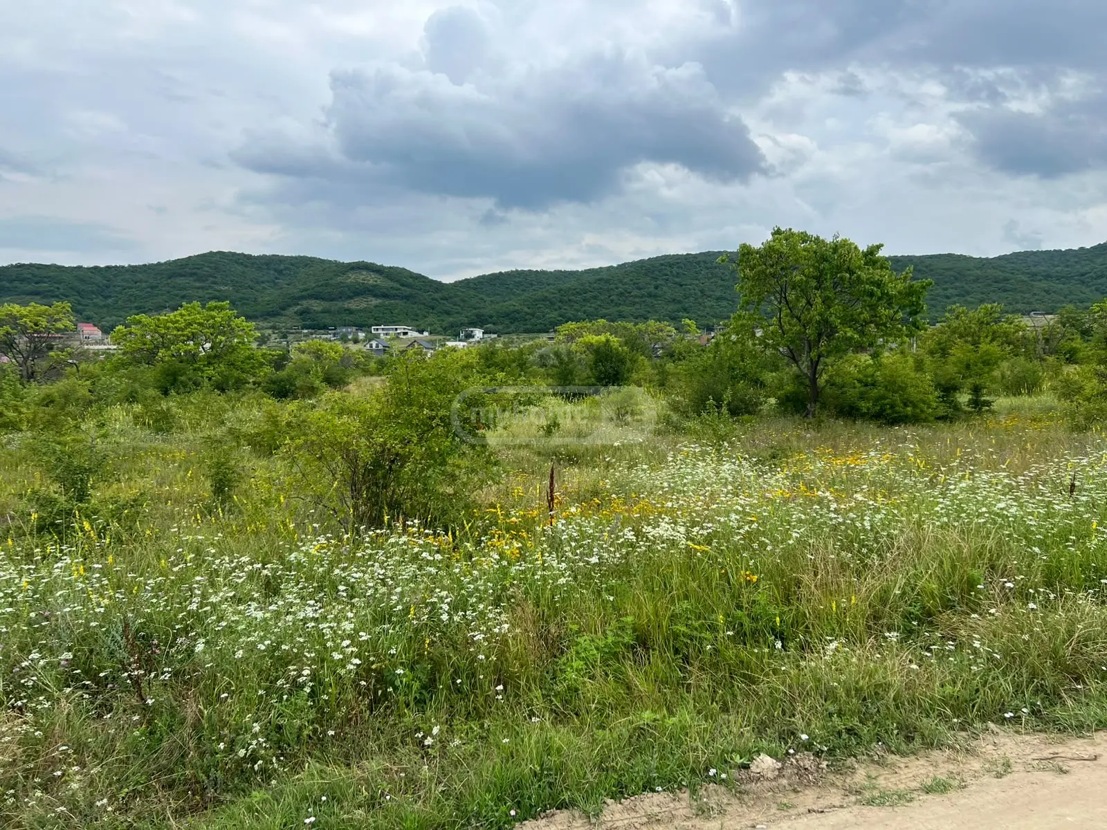 For Sale Sasoplo-Sameurneo Land Plot Mtskhetis Munitsipalitetshi view 2