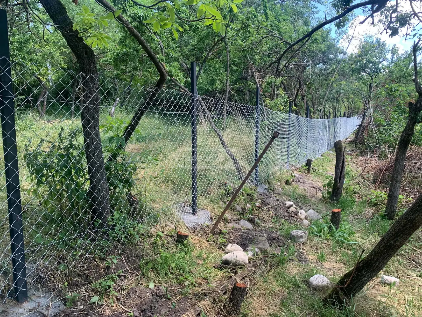 For Sale Sasoplo-Sameurneo Land Plot Dushetis Munitsipalitetshi view 8