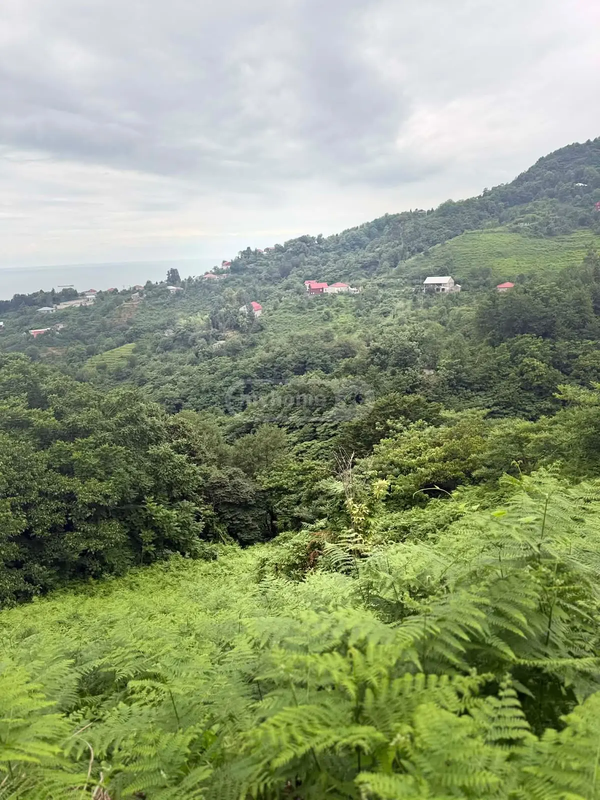 For Sale Sasoplo-Sameurneo Land Plot In Batumi view 3