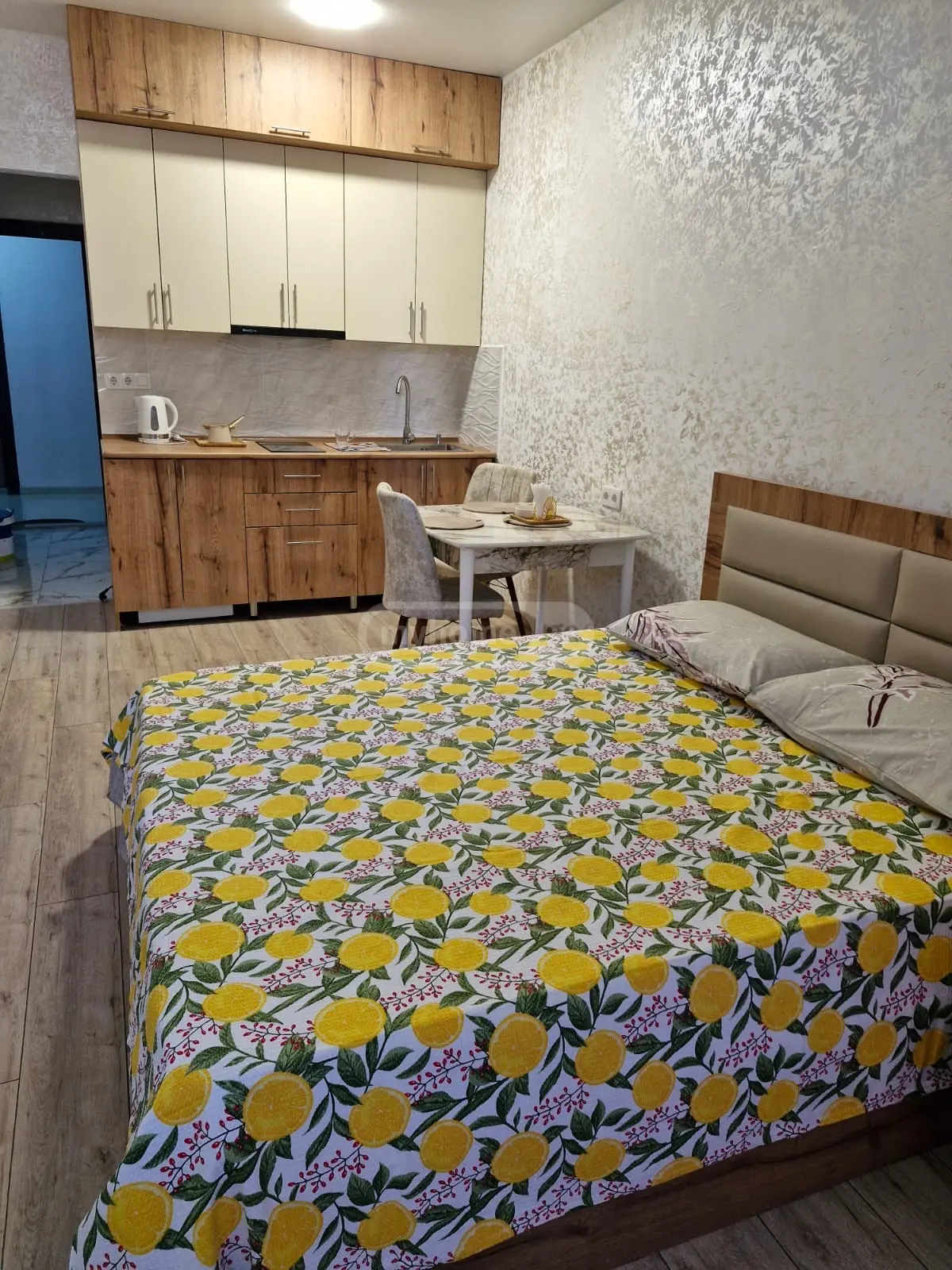 Daily Rent 1 Room Apartment view 2