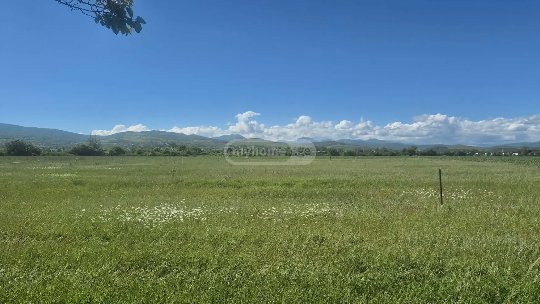 For Sale Sasoplo-Sameurneo Land Plot Dushetis Munitsipalitetshi view 6