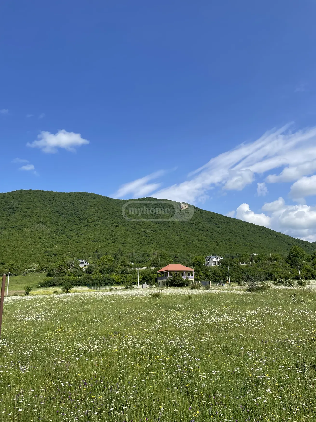 იყიდება მიწა / ნაკვეთი Dushetis Munitsipalitetshiში view 4
