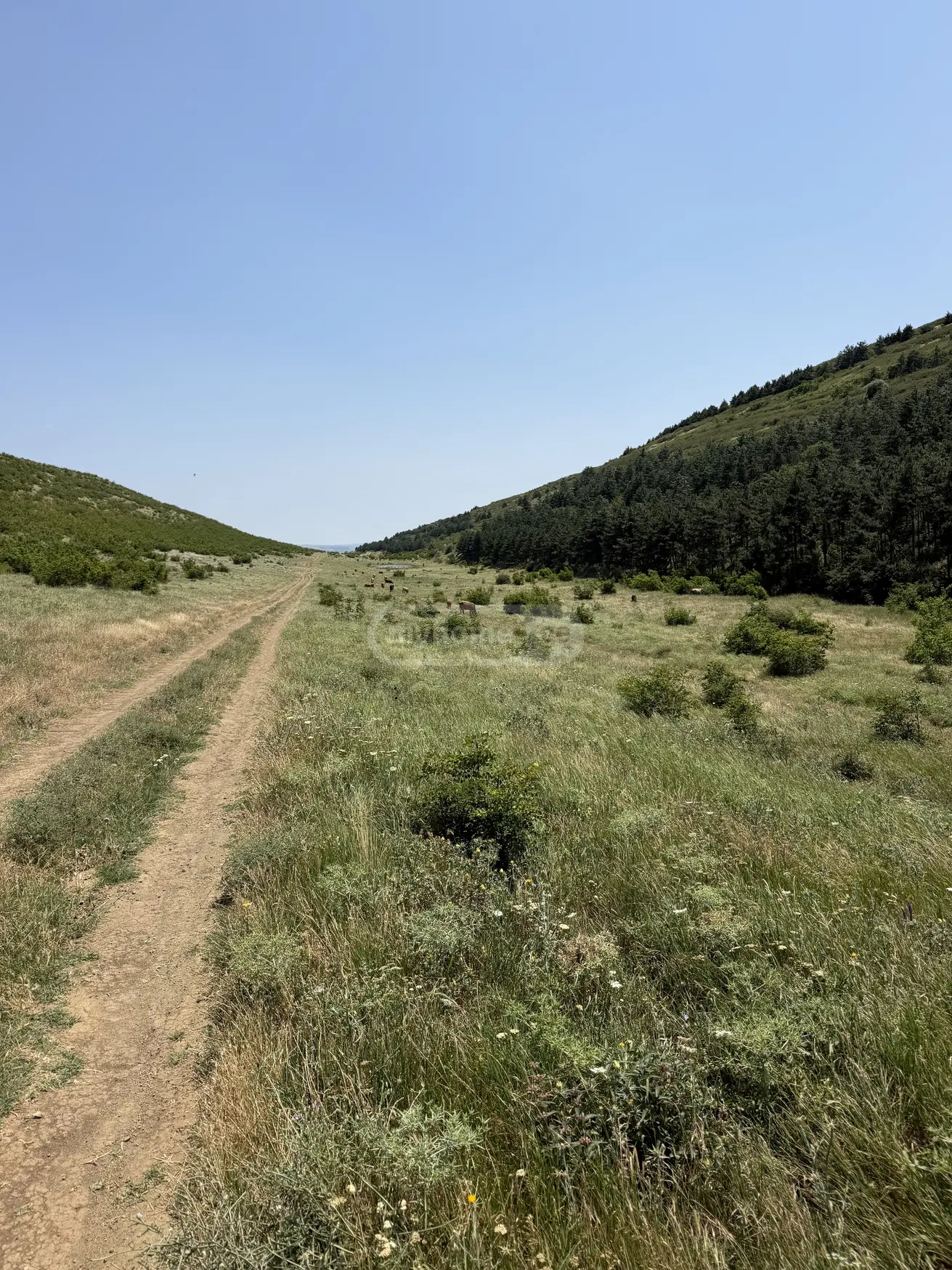 For Sale Sasoplo-Sameurneo Land Plot Lisze view 5