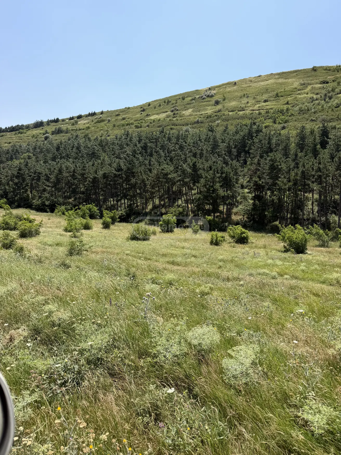 For Sale Sasoplo-Sameurneo Land Plot Lisze view 6