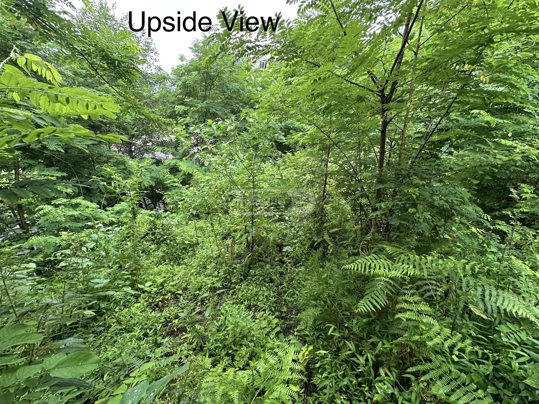 For Sale Sasoplo-Sameurneo Land Plot Khelvachauris Munitsipalitetshi view 9