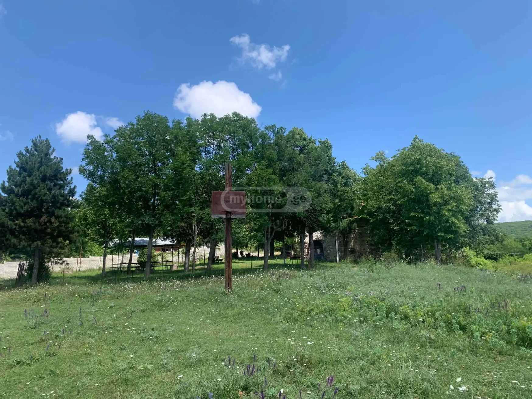For Sale Sasoplo-Sameurneo Land Plot Dushetis Munitsipalitetshi view 11