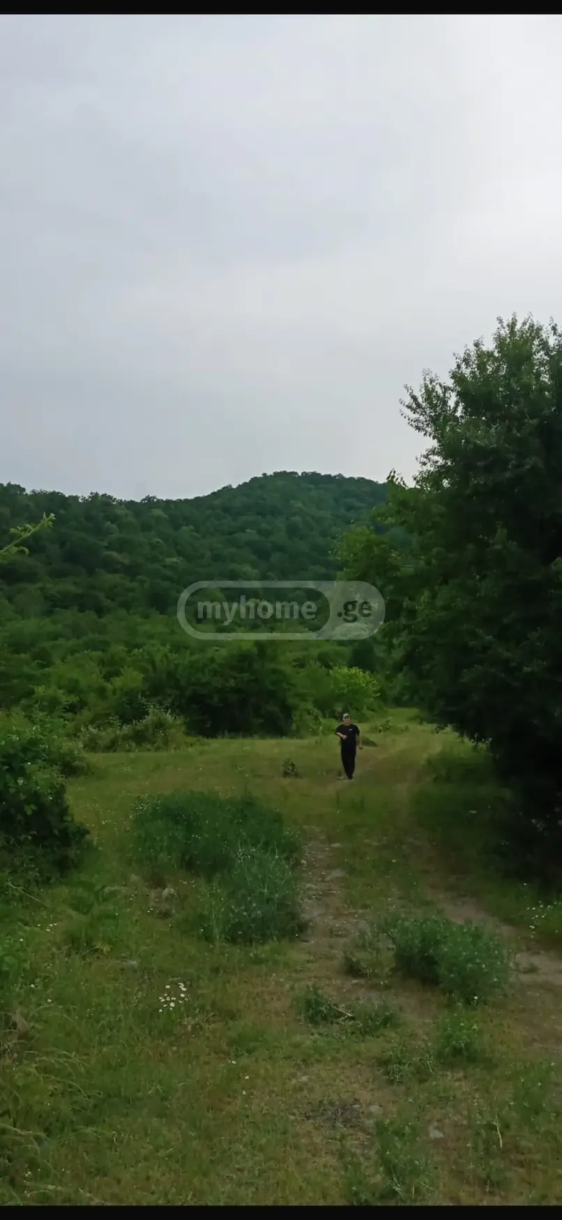 იყიდება მიწა / ნაკვეთი Lagodekhshiში view 2