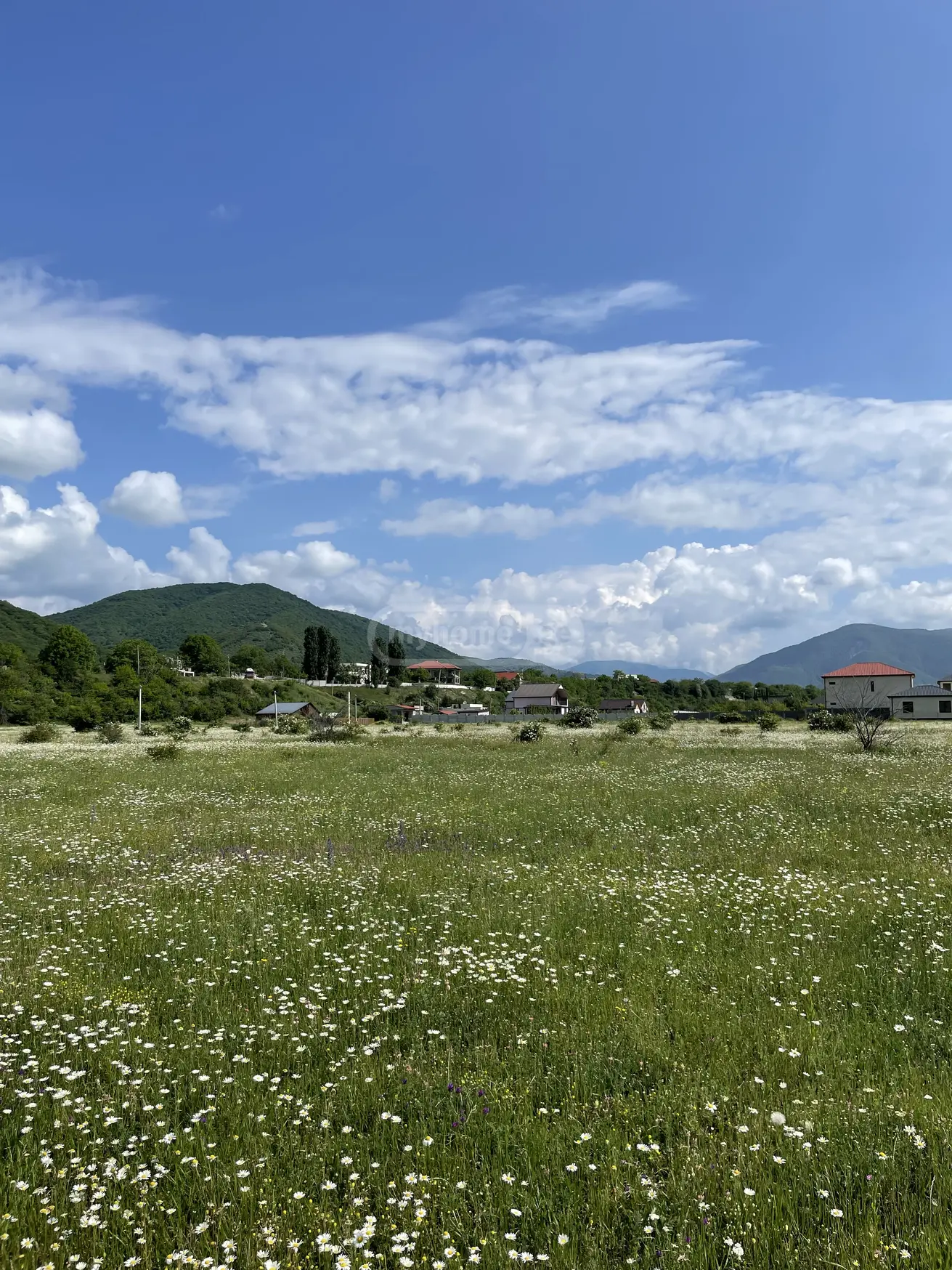 იყიდება მიწა / ნაკვეთი Dushetis Munitsipalitetshiში view 2