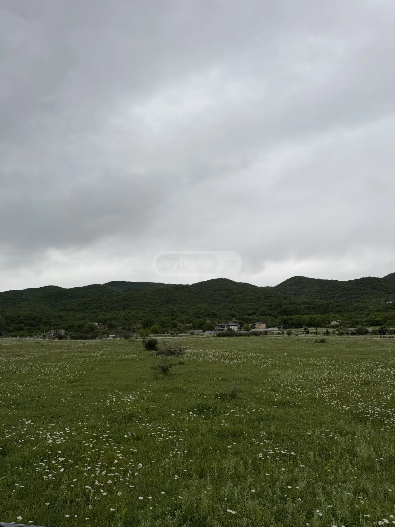 Продажа Земля / участок в Dushetis Munitsipalitetshi view 6