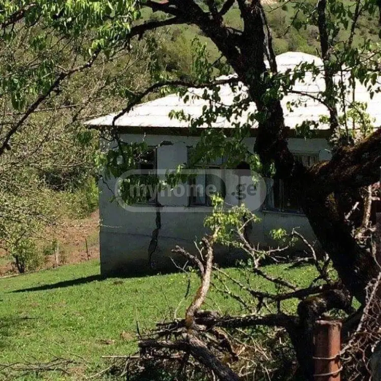 For Sale Ara Sasoplo-Sameurneo Land Plot Ambrolaurshi view 4