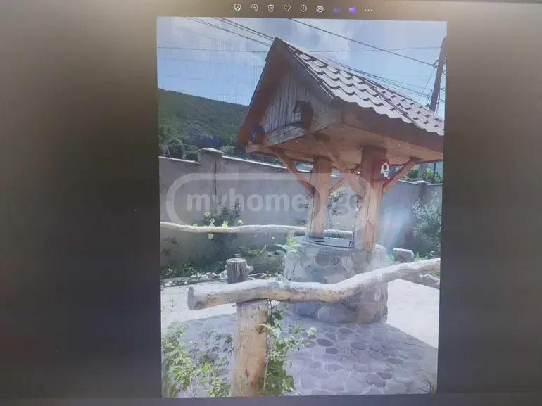For Sale 10+ Room Private House Zemo Lisze view 13